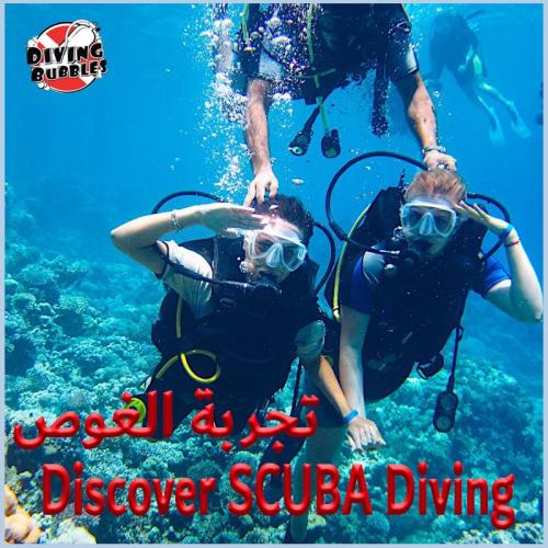 برنامج تجربة الغوص - قارب