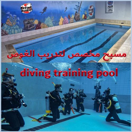 مسبح لتدريب غوص 1 طالب