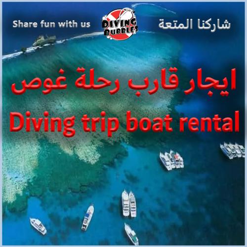 ايجار قارب رحلة غوص
