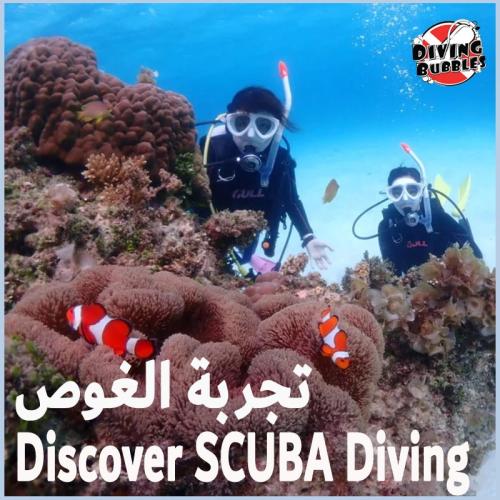 برنامج تجربة الغوص - شاطئ