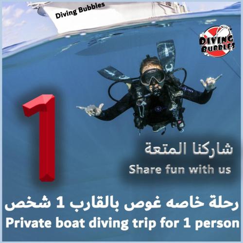 رحلة خاصه غوص بالقارب 1 شخص