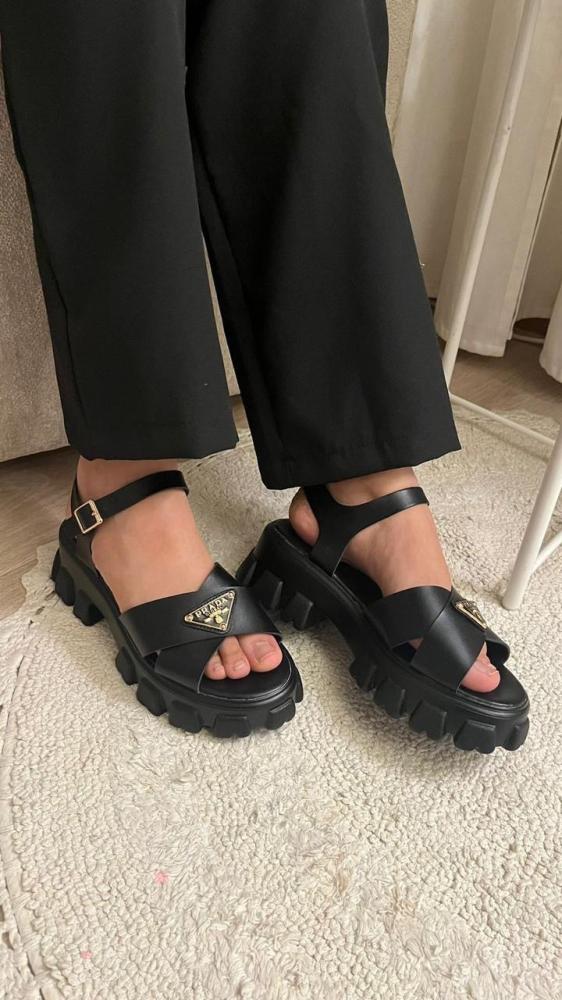 أسود الشكل الثالث