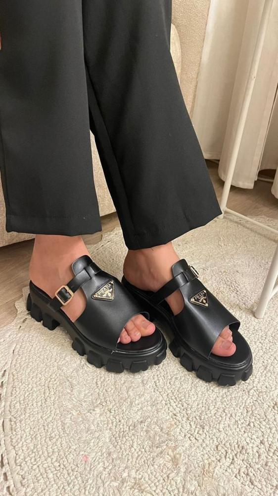 أسود الشكل الاول