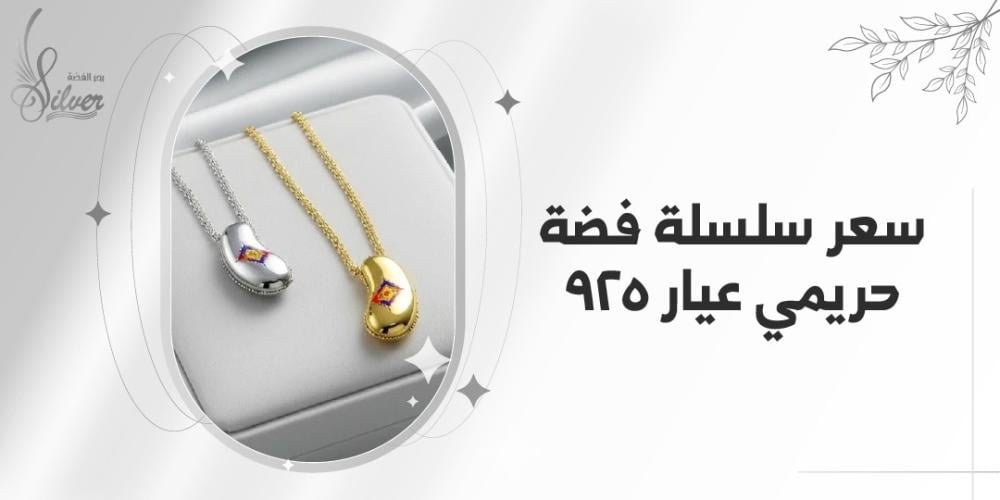 كم يساوي سعر سلسلة فضة حريمي عيار 925؟