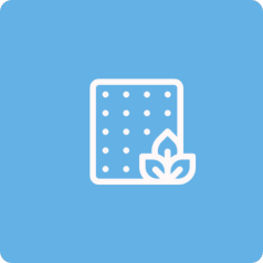 مخدات لاتكس