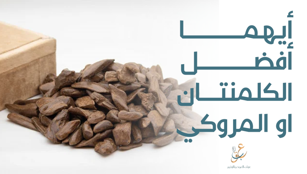 ايهما افضل الكلمنتان او المروكي