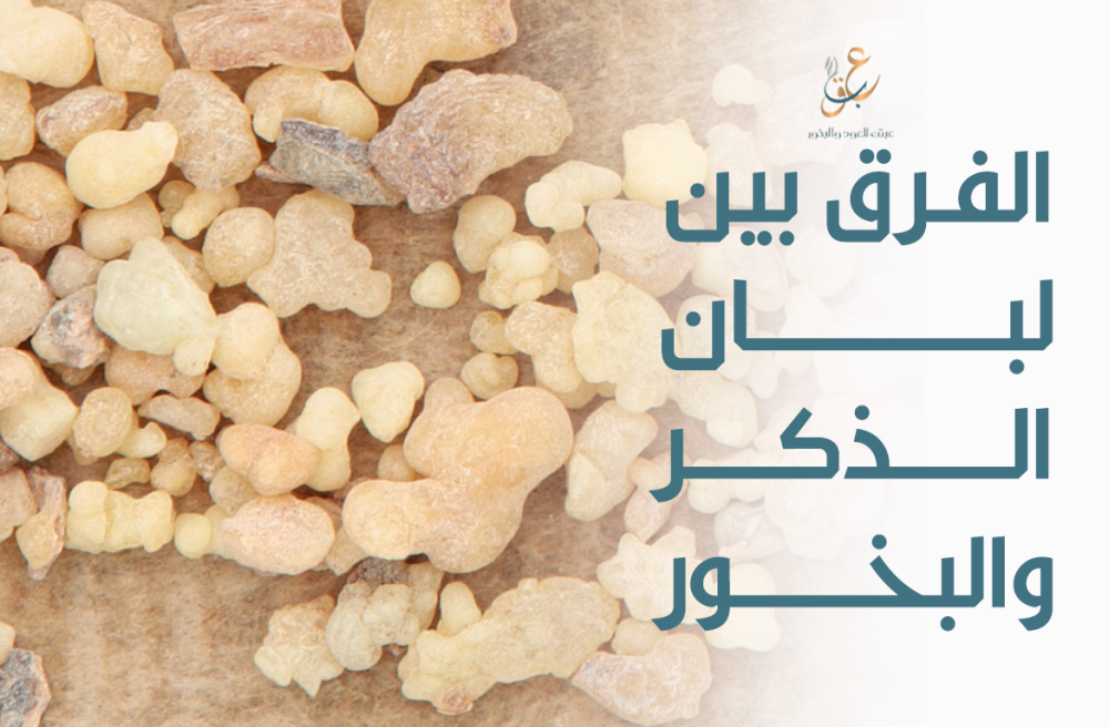 الفرق بين لبان الذكر والبخور: دليلك لاختيار الأفضل