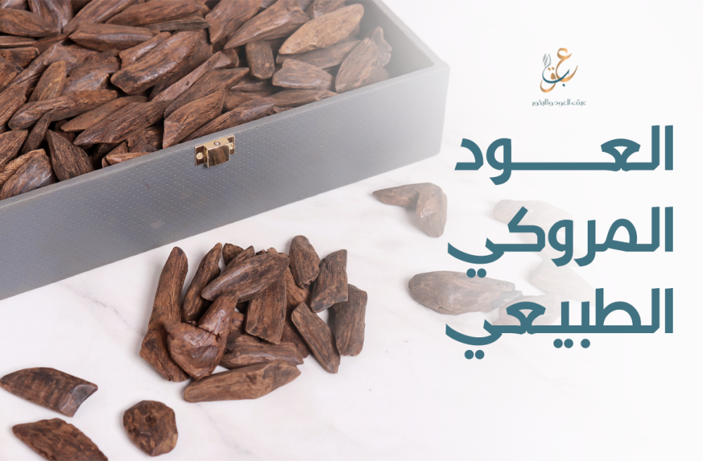 العود المروكي الطبيعي وأشهر استخداماته