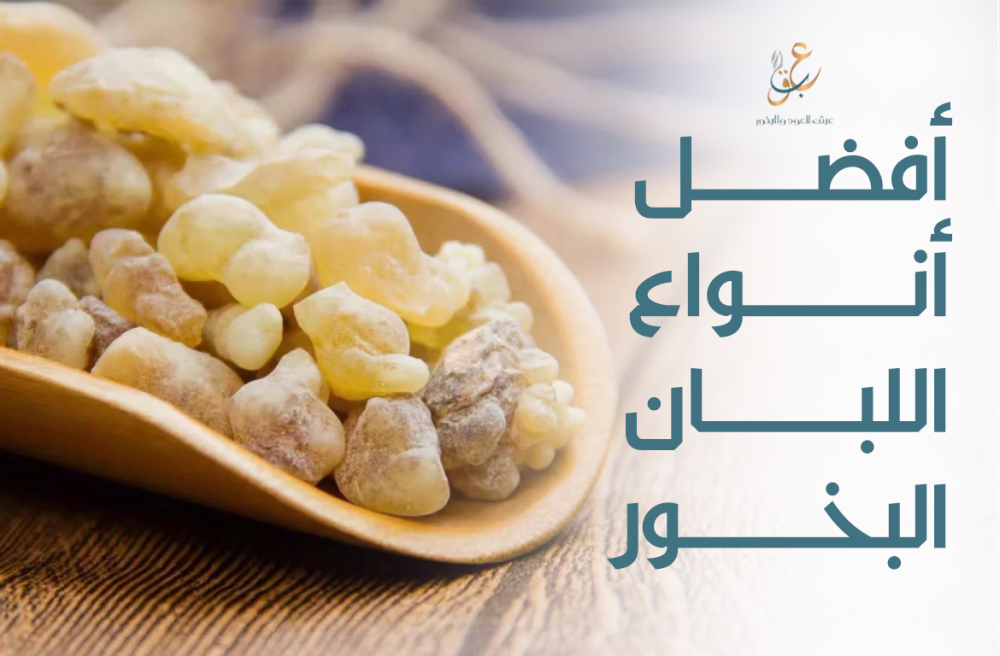 افضل انواع اللبان البخور لجو منزل فخم وهادئ