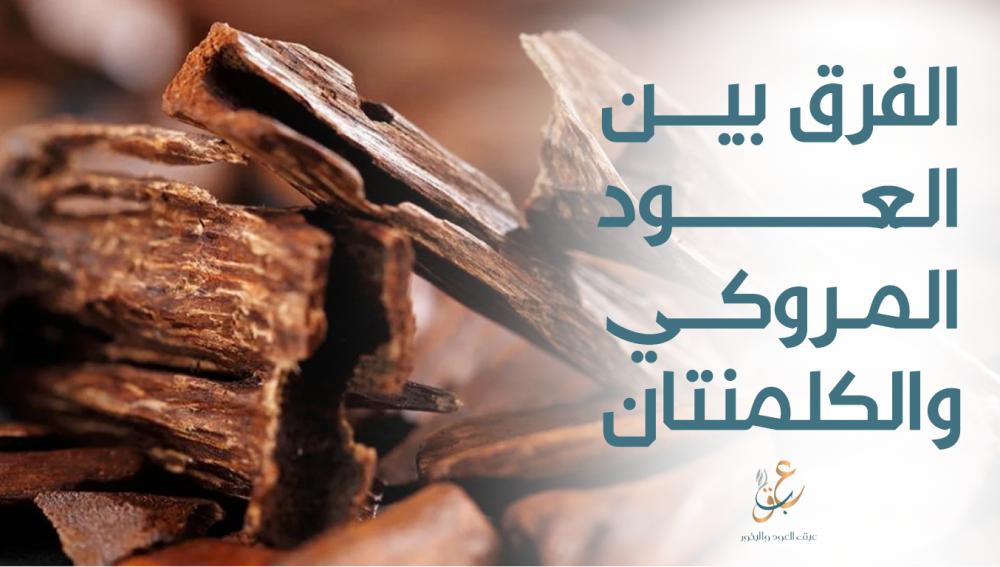 استكشف الفرق بين العود المروكي والكلمنتان