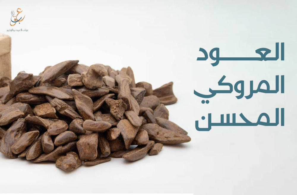 العود المروكي المحسن