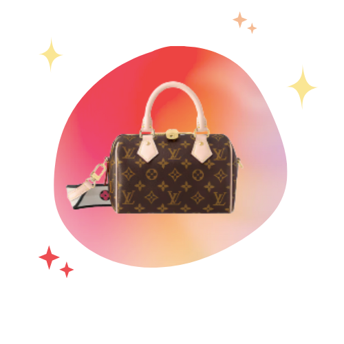 speedy lv bag 20