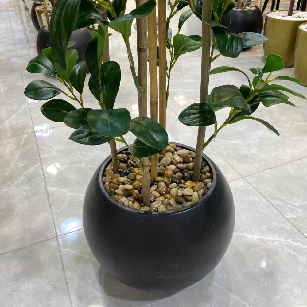 شجرة التفاح خيزران مركن اسود - 160 سم