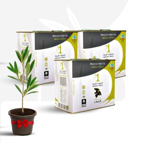 بكج زيت زيتون الجوف 3 عبوات 2 لتر + شتلة زيتون مجا...