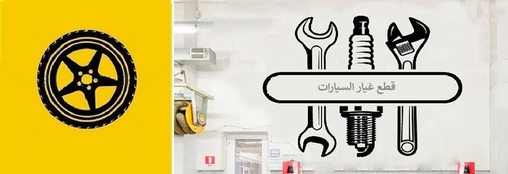 السيارات الصينية