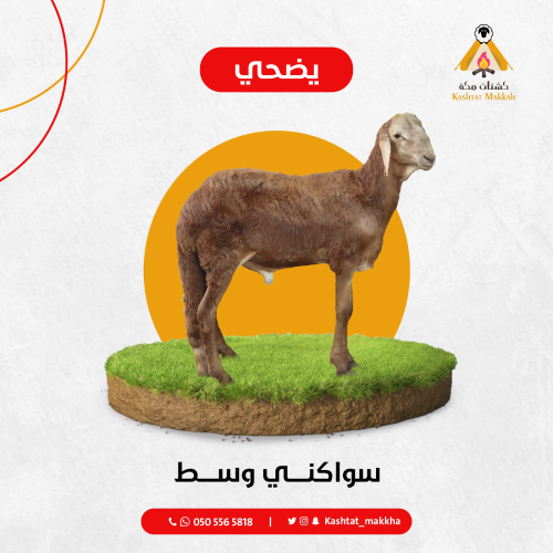 سواكني وسط