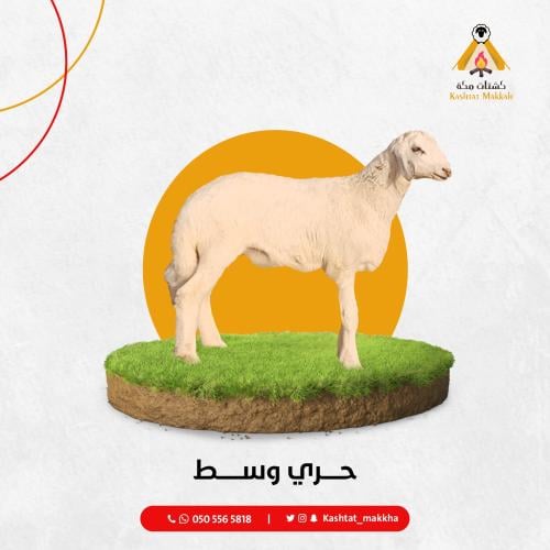 حري وســط