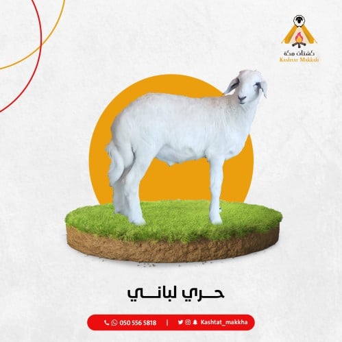 حري لبـــــاني