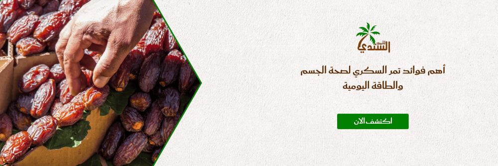 أهم فوائد تمر السكري لصحة الجسم والطاقة اليومية