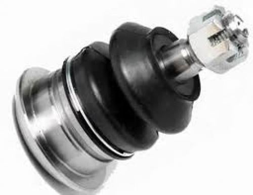 جوزة هايلكس - انوفا تحت