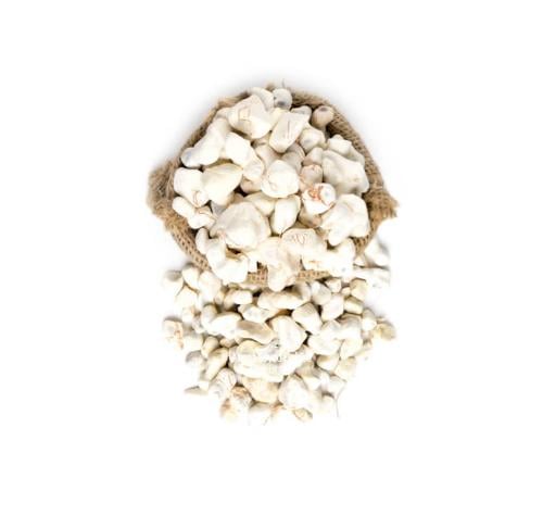 تيلدي مطحون200جرام