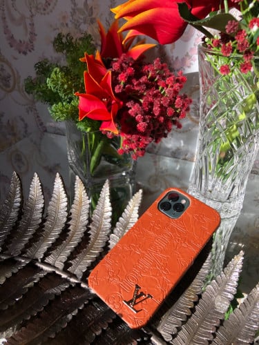 Louis Vuitton cover limited edition