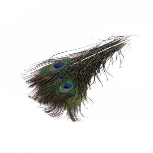 ريش طاووس لون طبيعي 30 سم