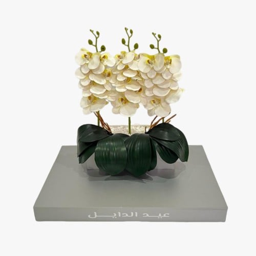 Orchid Display Stand