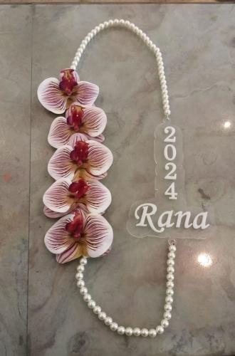 عقد تخرج معا لؤلؤ