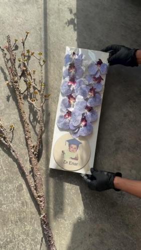 عقد تخرج بكتابة خشبيه مع الصوره