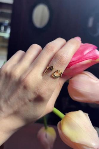 خاتم رفيق الروح_متجر ميسون