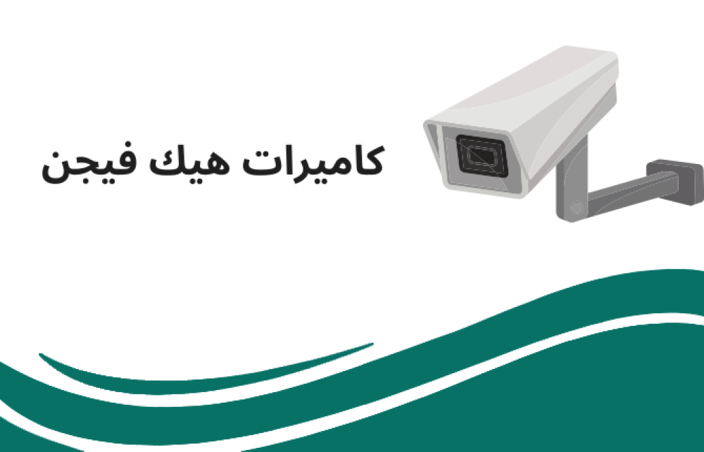 كاميرات هيك فيجن