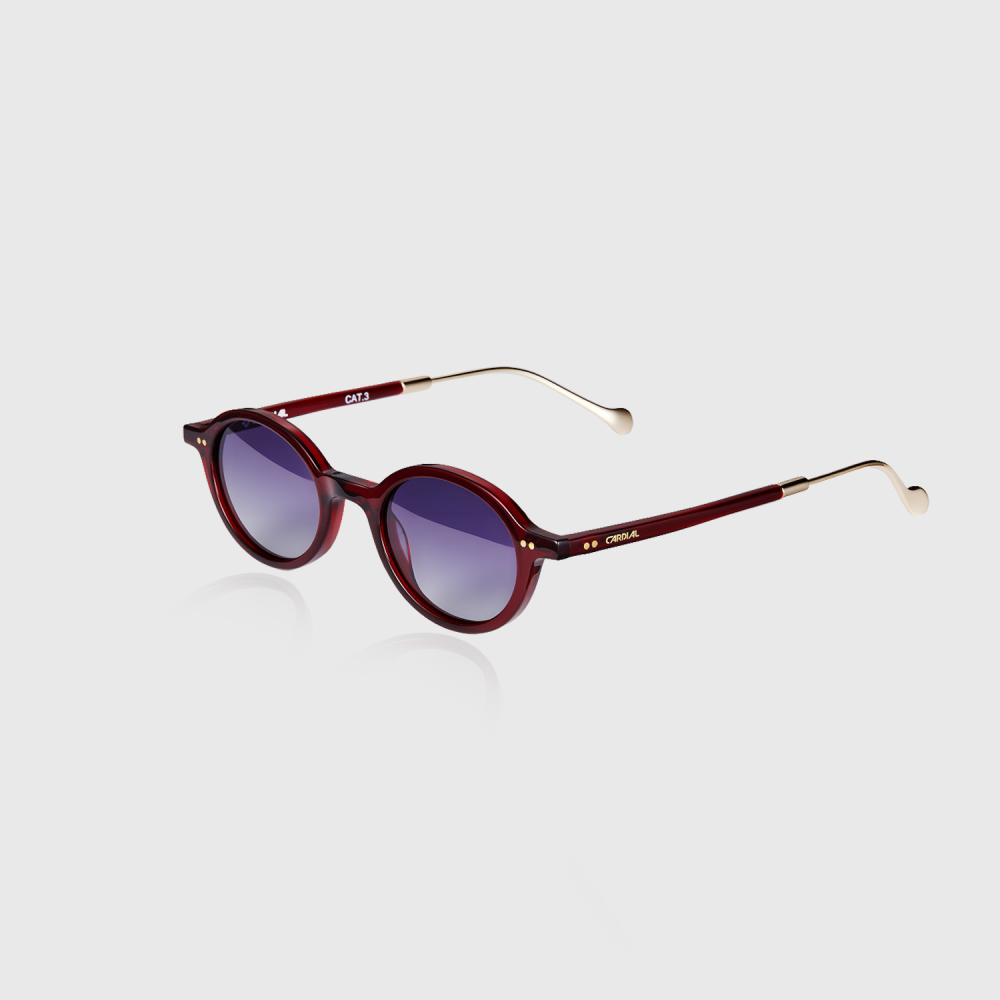 Unisex Sunglasses 257001