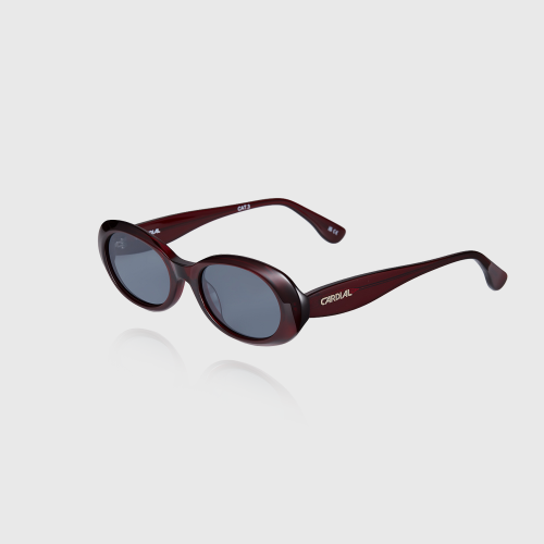 Unisex Sunglasses 257009