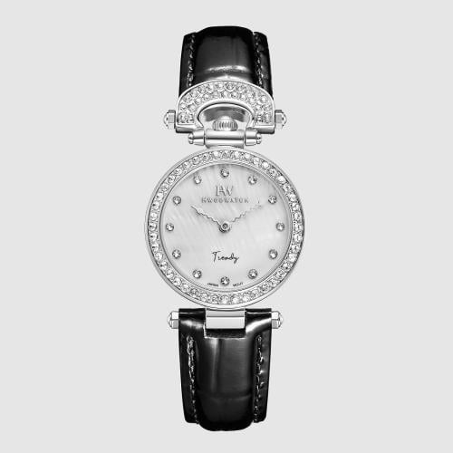 Hugo Watch Women's Watch 268018 the color:(brown)