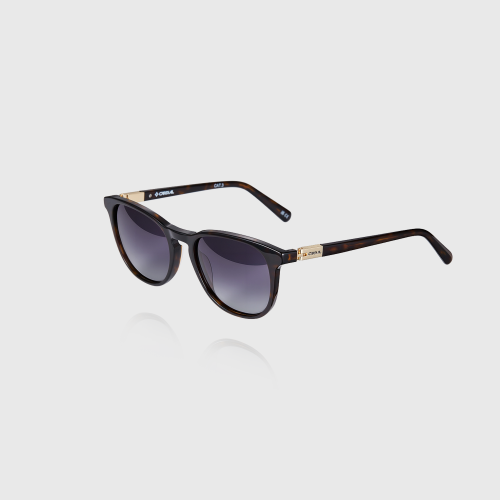 Men's Sunglasses 257005