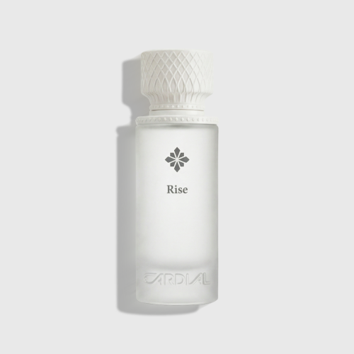 Rise Perfume - Unisex - 100ml