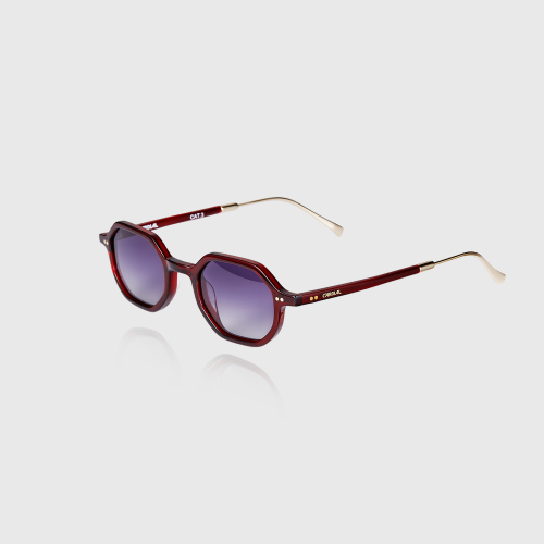 Unisex Sunglasses 257002