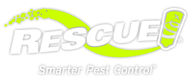 rescue