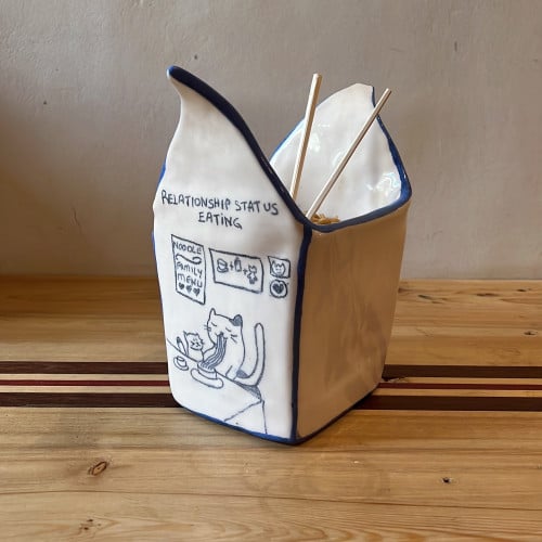 Noodles cat box