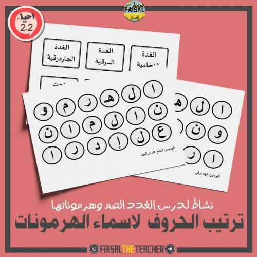 نشاط ترتيب حروف اسماء الهرمونات