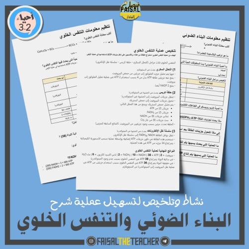 أنشطة وتلخيص لعملية البناء الضوئي والتنفس الخلوي
