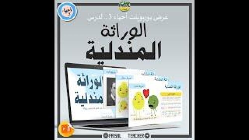 عرض لدرس الوراثة المندلية - 20