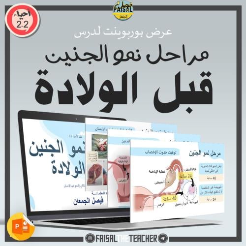 عرض تفصيلي لدرس مراحل نمو الجنين قبل الولادة - 13