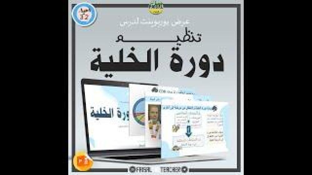 عرض لدرس تنظيم دورة الخلية - 17