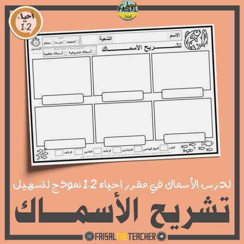 نموذج مساعد لتشريح الأسماك- احياء 2-1