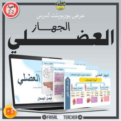 عرض تفصيلي لدرس الجهاز العضلي - 02