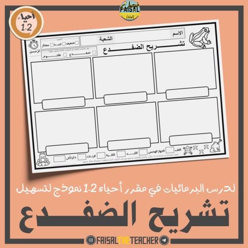 نموذج مساعد لتشريح الضفدع - احياء 2-1