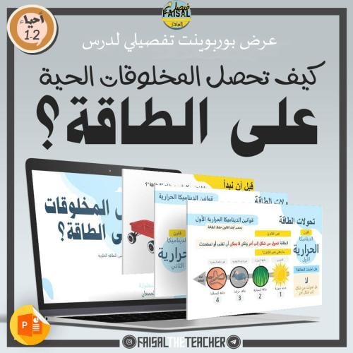 عرض لدرس كيف تحصل المخلوقات الحية على الطاقة