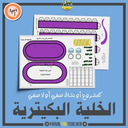 نموذج مشروع الخلية البكتيرية